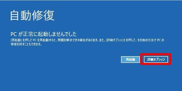 「詳細オプション」を選択